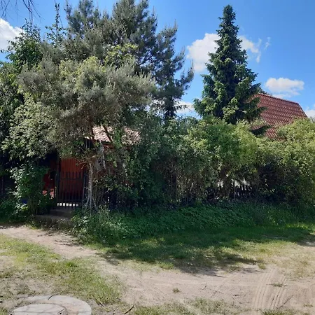 Luna Nad Jeziorem Gm Murowana Goslina Wojnowko